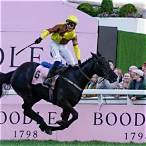 bet on cheltenham gold cup